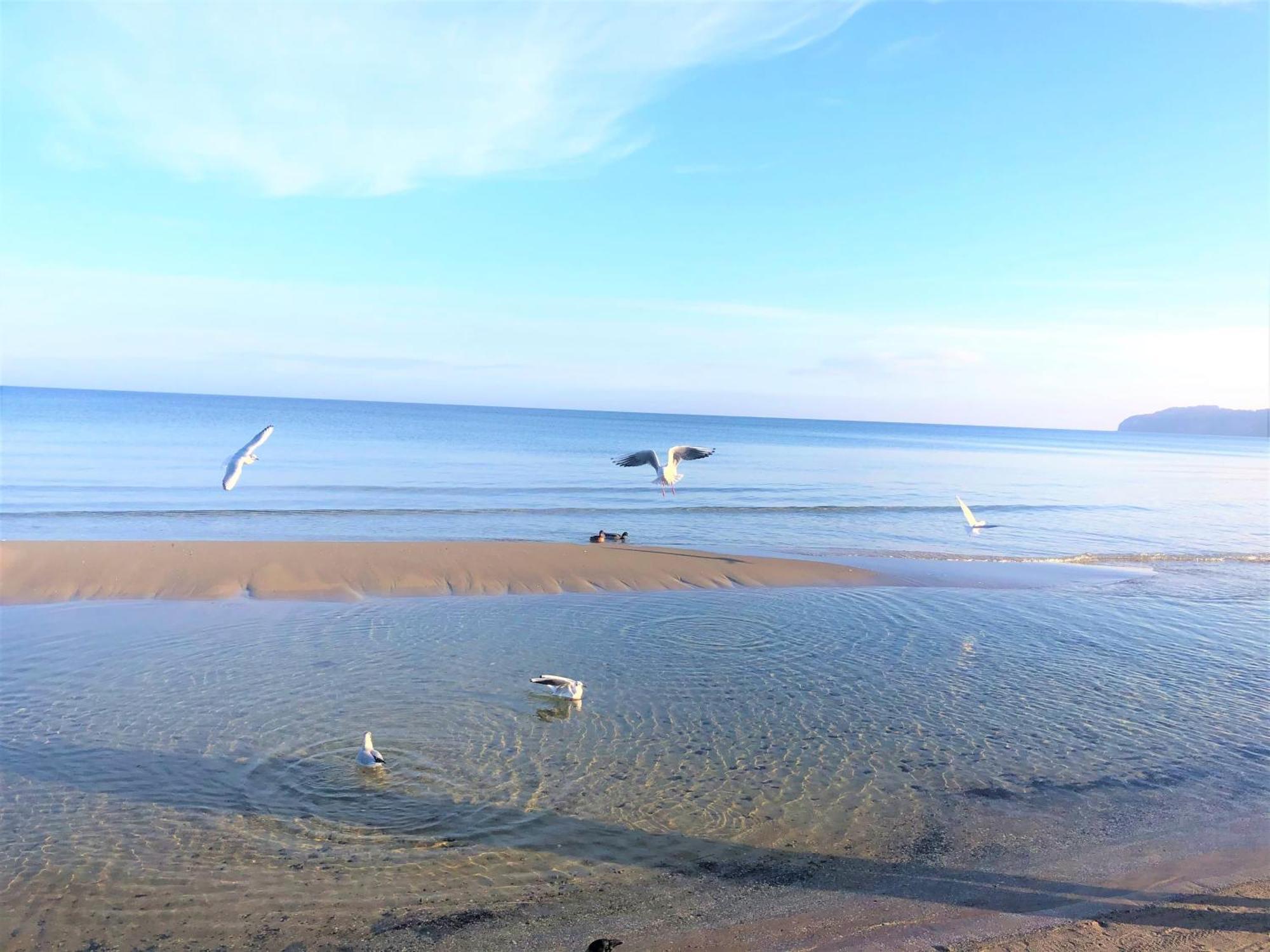 Sommerwind - Villa Helene Mit Meerblick In Top Lage Binz Dış mekan fotoğraf